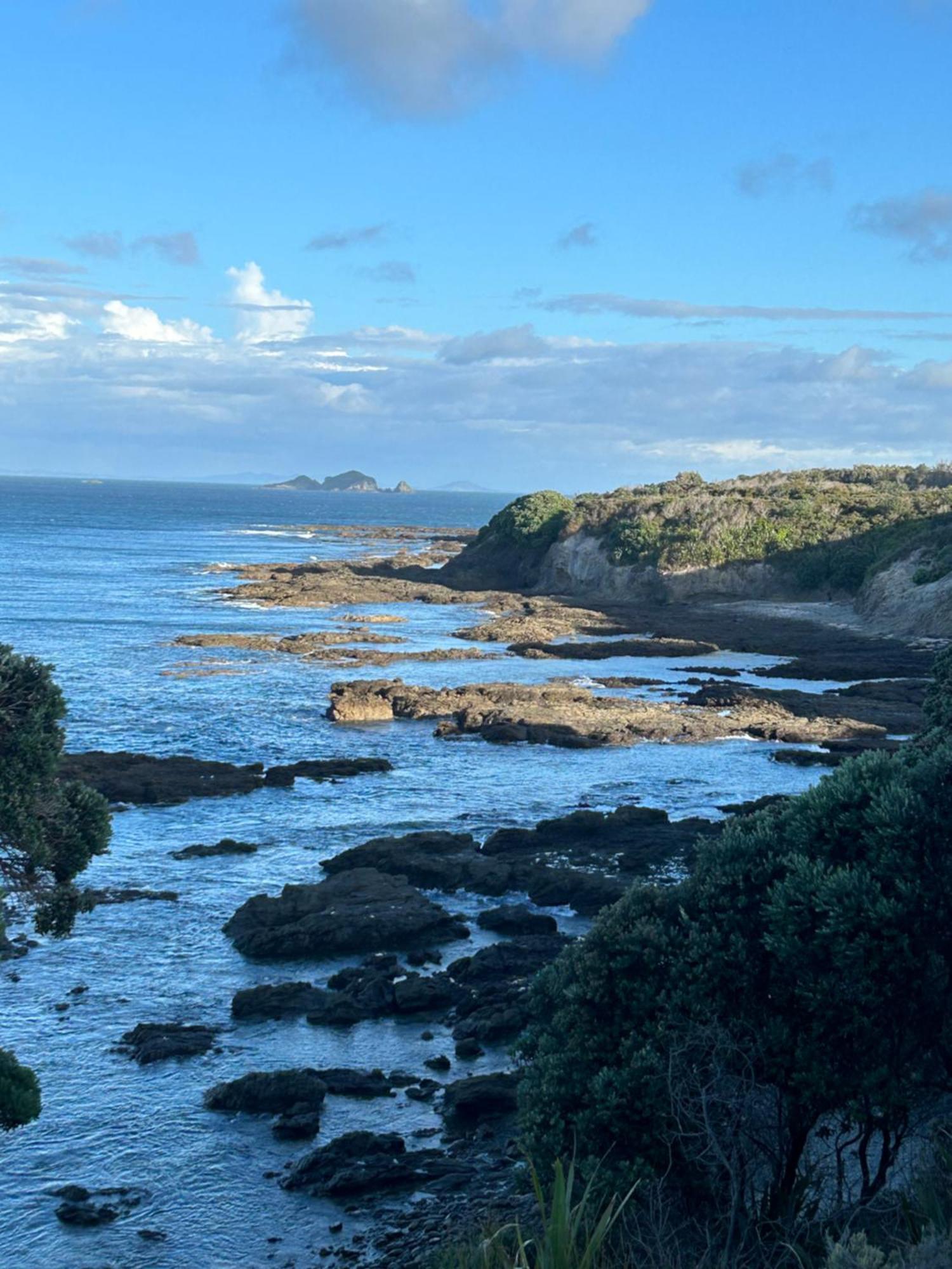 Green Turtle Cottage Pukenui Exteriör bild